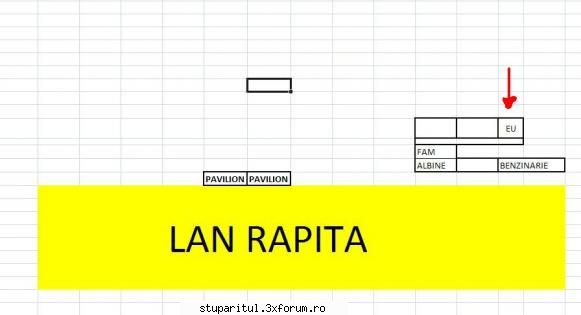 noua mea stupina locul acesta l-am gasit rapita (schita este patratele reprezinta curtile oamenilor