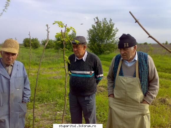 salutari apicultori mai zic oameni buni ???alt_ stupar !!! cica covasintz are rapitza firma asta ...