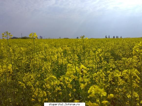 salutari apicultori inca poza.din albine, aveau nectar galeata ... pardon