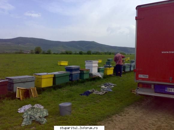 salutari apicultori recolta este medie kg./ fam.