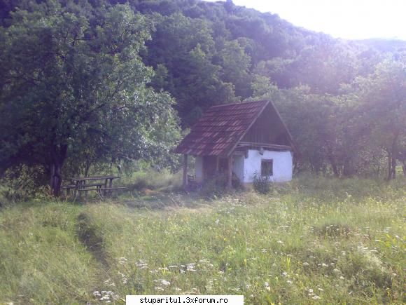 salutari apicultori vila fara ganduri casa fara acolo stateam masa, cafea, odihna dar dormit era loc