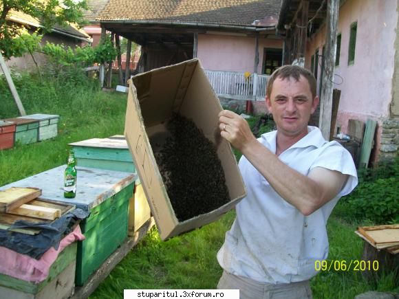 alt stupar si... strange omul langa casa lui cand poate CLUB STUPARITUL