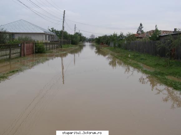 stupina inundatii strada grig.