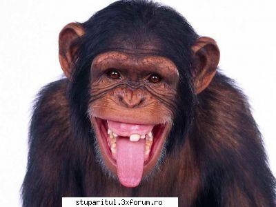 inseamna asta,nea bog?? maximus acest forum aparut cenzura.de cand d-l lucky fost numit moderator