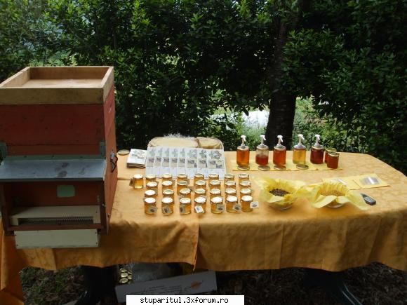 catre stupul tehnica maximus pentru unii totul are pret. altii ceva mai pret. invit vedeti cateva