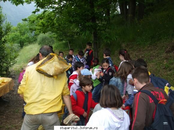 catre stupul tehnica maximus alta