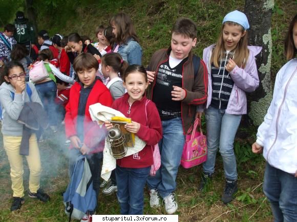 catre stupul tehnica maximus alta