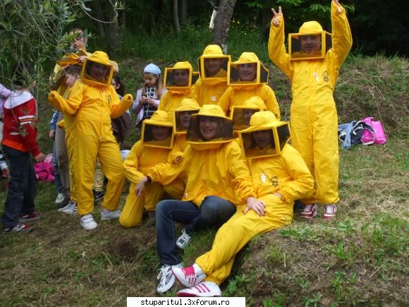 catre stupul tehnica maximus alta