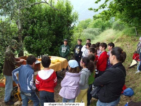 catre stupul tehnica maximus alta