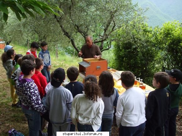 catre stupul tehnica maximus alta