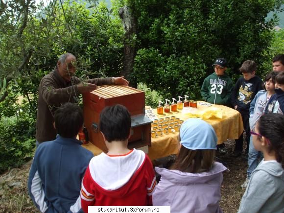 catre stupul tehnica maximus alta, copiii