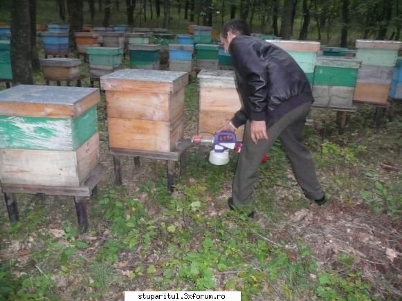 video manual apicultura interiorul medicii forma foarte rara regula lucratorii mediu toxic)se