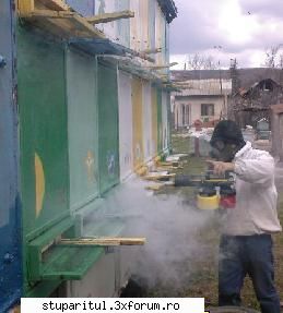 video manual apicultura teinegru64 interiorul medicii forma foarte rara regula lucratorii mediu