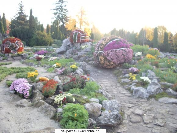 salutari  :hi: nu sunt un as al