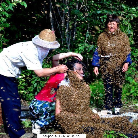 cuplu chinezi s-a ntr-o mai puţin haine din albine vii.li wenhua şi yan hongxia sunt