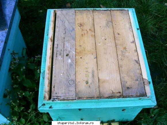 transport miere cuib pentru eventualul condens dupa extrudat evapore trebuie fie feste ramana mic