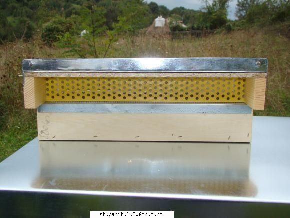 se poate renunta la scandura din fata ce ii pe post de rampa de la colecotor ma refer) la acest