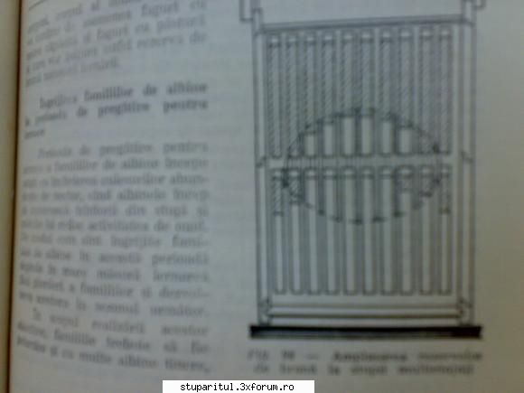 ca shtii ... iar daca nu ...
uite cum trebuie sa fie rezervele pt. iernare ( s-au cum sa le aranjezi