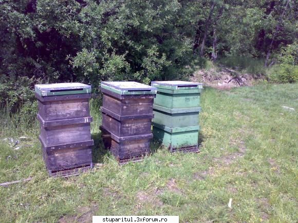 salutari apicultori inca   cutiile acestea sunt me? ..cand rotesti corpul cum faci bandoul