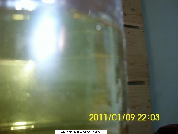 Ştim cu toţii că albinele. de aceea se ca de să se facă �nainte de