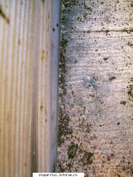 e de testare sa stii ca nu prea as dori sa raspund ca m-am saturat de testari inca de pe vremea cand