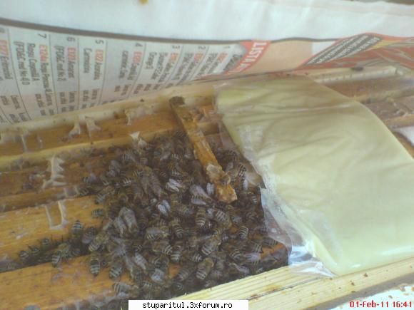 incepator rau intreaba uite albinele sub ziar!