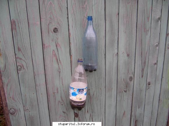 cum scap viespi alte capcane CLUB STUPARITUL