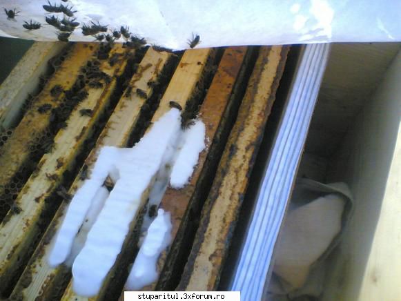 incepator apicultura dupa terminat trecut interior:
