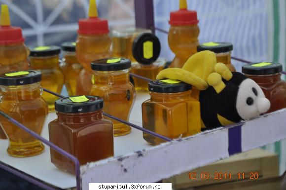 targ conferinta apicola timisoara 2011 n-ea onorat prezenta harnica borcan poate sa-si mierea