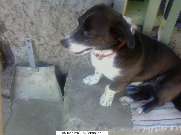 nu vrea nimeni sa ma ajute ? va multumesc otravire ?