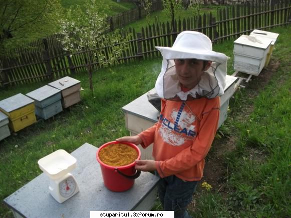 apicultor miniatura astazi fiul meu ajutat recoltarea polenului