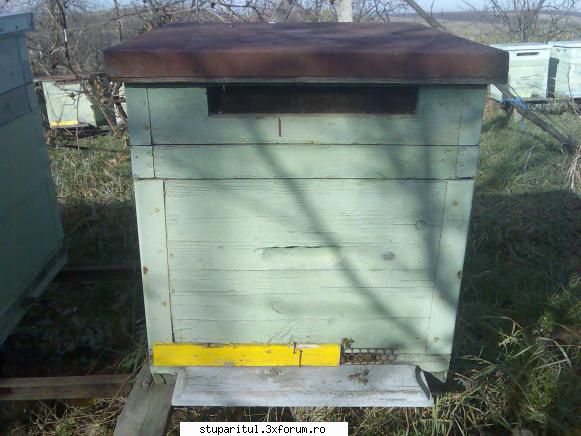 caut printre apicultori inceputul anilor renuntat construit verticale rame cat 1/2.