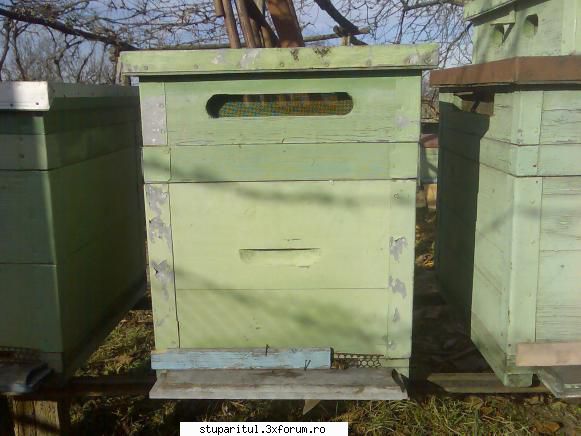 caut printre apicultori anul 2002, hotarat marim nr. stupi ,am ales alt model lada.herr vroia lazi