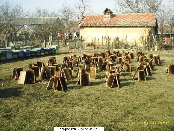 despre albinarit spre atentia celor mai practic linsul acasa stupina nou  din roi 