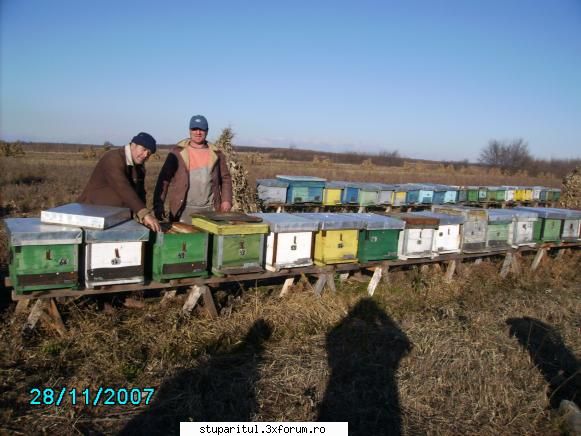 apicultura prietenul valerica pregatim stupii pentru iernat