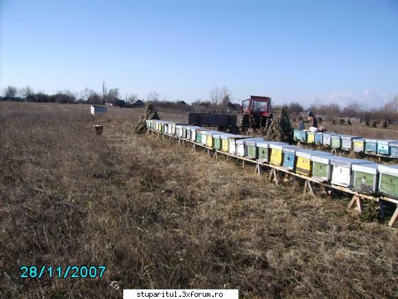 apicultura pregatirea pentru stupii iernatii cimp