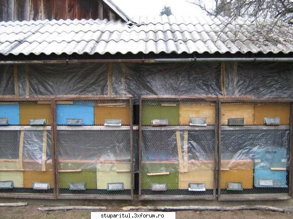 protejarea familiilor albine impotriva inca