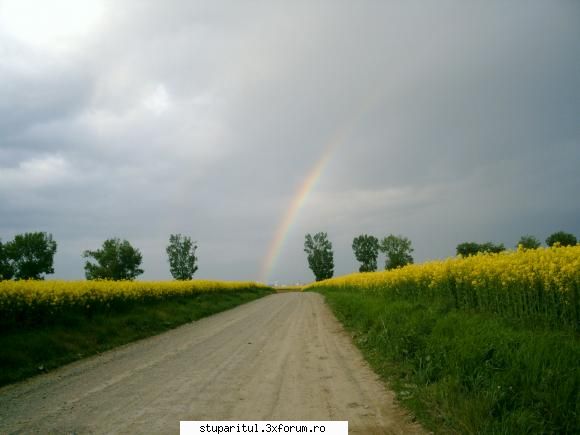 rapita 2008 foto curcubeu vreme buna