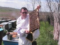 buna dragi colegi .atentie la varoza. am facut 2 primele doua la interval de 7zile la jumatatea luni