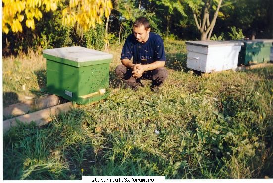 stup colector polen atasat. aici sunt toamna anului 2003,cu stupina unei famili normale.
