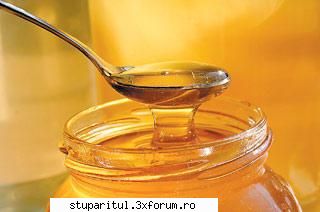 mierii murate miere gem poate folosi mici, 600g miere salcm1. spală şi şterg bine