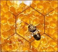 afectiuni remedii miere mierea este şi pentru şi eliminare oboselii. amestec din trei