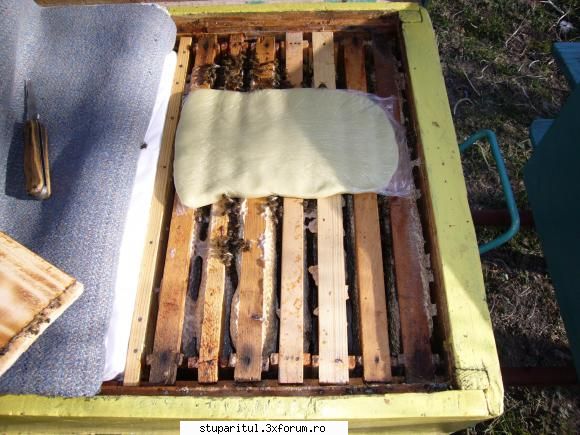 prima inspectie 2009 doilea, singura diferenta fata primul: erau albine exteriorul ramelor