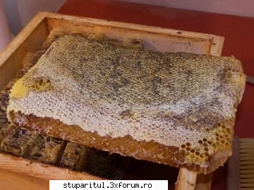 warre leat fara rama parintele warre, cartea apicultura pentru toti, spune:pe cand traiam somme CLUB STUPARITUL