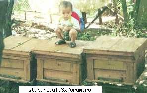 da, dar eu nu am participat la acele discutii.
 sunt prea mic, pentru un razboi atat de mare.