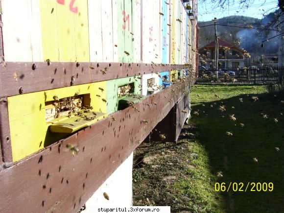 in sfarsit au venit si la mine doua zile calde !
in 06.02 si 07.02.2009 au fost +14~+15*c, soare