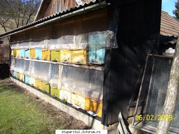 si cele din sopron :