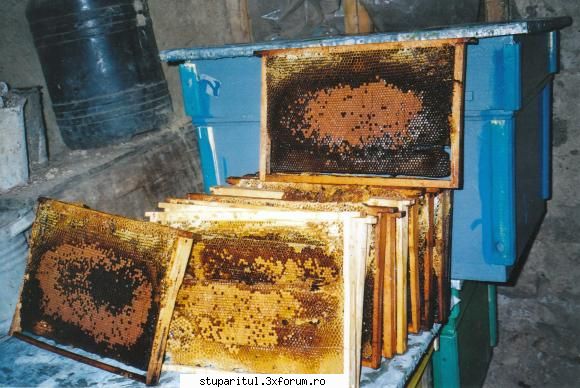 -am pierdut 6 familii neatentie lipsa de :nod: iata fagurii si albina unui stup acidentat la