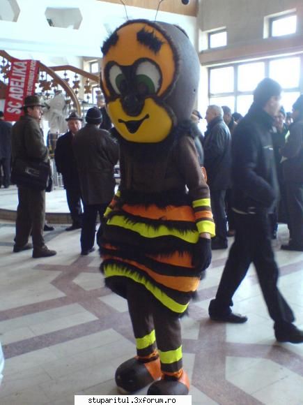 targul mierii-- campina 2009-- mascota