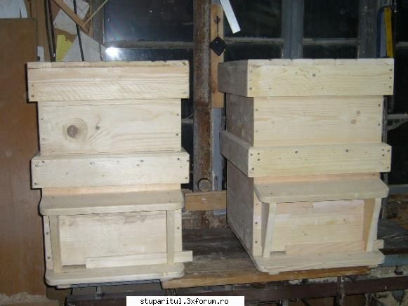 apicultor nou lucrari atelier